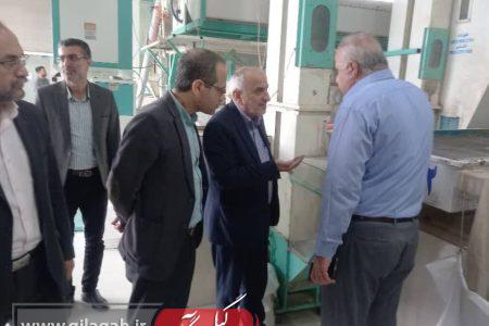 اعلام آمادگی بخش خصوصی برای ساخت پالایشگاه برنج با سرمایه گذاری ۲۵۰ میلیارد تومانی در گیلان