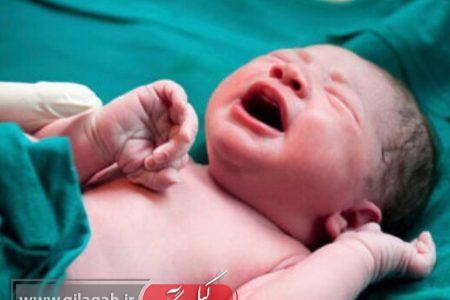 تولد بیش از ۸ هزار نوزاد در گیلان