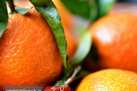 «سلولیت» چیست و چرا در زنان شایع‌تر است؟