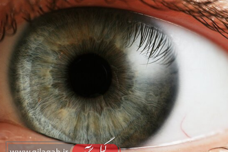 بهبود سلامت چشم‌ها در ۶ هفته