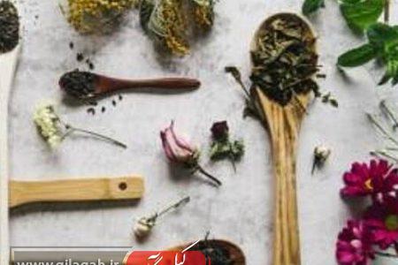اثر گیاهان دارویی در پاک‌سازی بدن/ اصل کلیدی درمان با طب سنتی