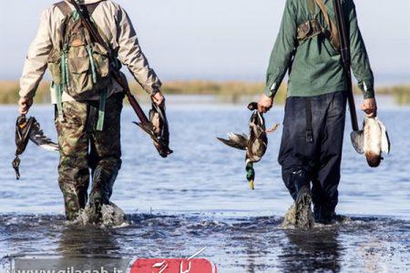 مدیرکل محیط زیست گیلان از ممنوعیت شکار پرندگان در گیلان به دلیل احتمال شیوع آنفولانزا پرندگان خبر داد