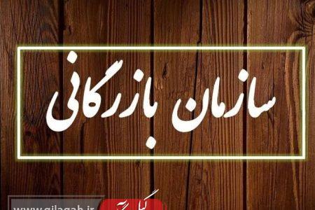 دولت خواستار ایجاد سازمان بازرگانی و تنظیم بازار شد