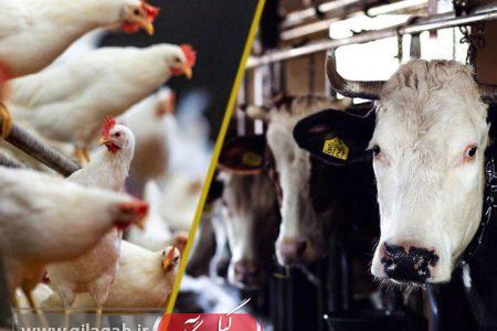 برپایی نمایشگاه تخصصی دام، طیور و آبزیان در رشت