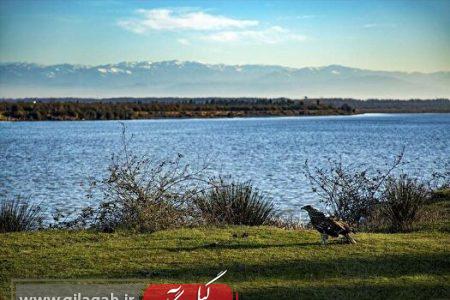 بندر کیاشهر به شبکه جهانی شهر‌های تالابی پیوست