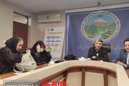 قرارداد ۴۰ پروژه ناکارآمد و غیرفعال در گیلان فسخ شد