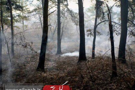 حریق ۱۲۰۰۰ هزار متر مربع از اراضی جنگلی گیلان اطفا شد