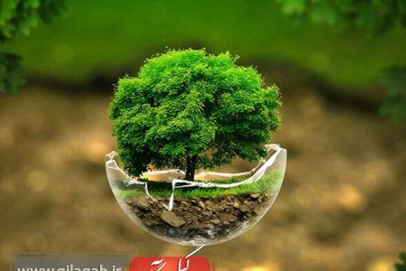 پویش «زنبیل» در رشت در روز زمین پاک