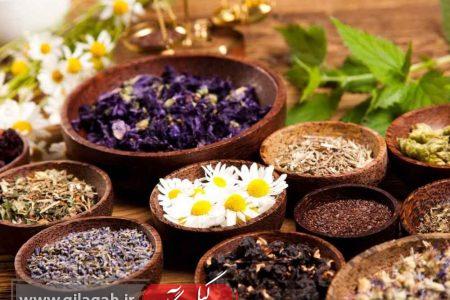 جنگ با بی‌خوابی شبانه با ۱۰ داروی گیاهی مؤثر