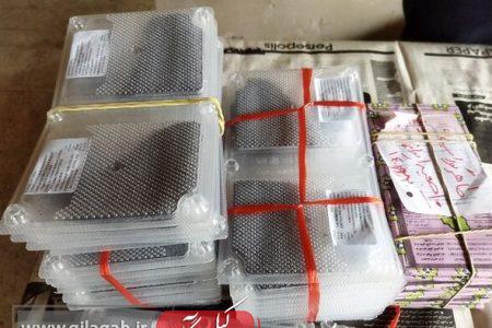 ۱۵ هزار جعبه تخم نوغان در گیلان توزیع می شود