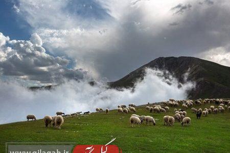 تردد خودرو به سمت اشکورات و سواحل رودسر ممنوع شد