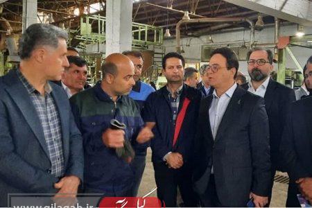 گرجی پور: صنایع چوب اسالم باید از سیاست زدگی دور شود