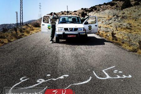 تمدید ممنوعیت شکار در منطقه‌ی جیرنده‌ی عمارلو