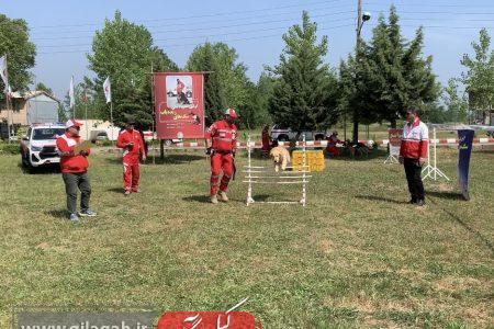 نخستین المپیاد سگ‌های زنده‌یاب کشور در گیلان