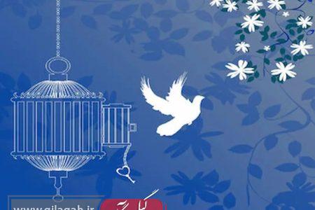 ۵۳ زندانی جرائم غیرعمد در گیلان آزاد شدند