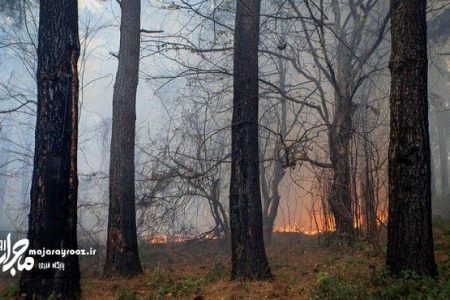 مهار حریق ۱۰ هزار متر مربع از جنگل های منطقه لاکان رشت
