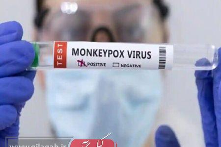 تاکنون موردی از آبله میمونی در ایران شناسایی نشده است