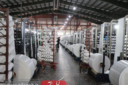 بخش خصوصی، موتور محرک توسعه اقتصادی گیلان است