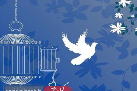 آزادی یک بانوی سرپرست خانوار توسط در قرار دوازدهم واقفان