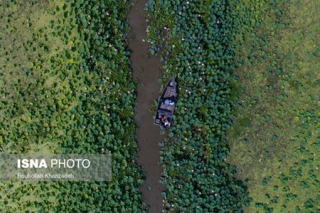 اجرای طرح حفاظت از تالاب انزلی در ۲ فاز معیشت و کشاورزی پایدار