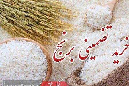خرید تضمینی؛ راهکار ایجاد رضایت در بازار برنج