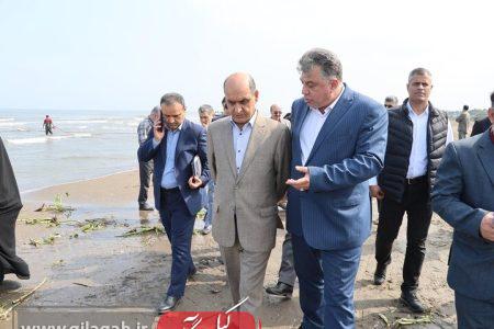 آغاز زودهنگام فصل صید در گیلان نویدبخش سالی پربار برای صیادان