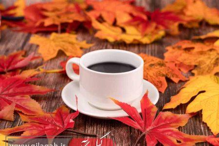 دمنوش تقویت سیستم ایمنی و رفع خستگی