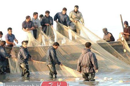 صید ۲۲۵ تن ماهی استخوانی از دریای خزر توسط صیادان گیلانی
