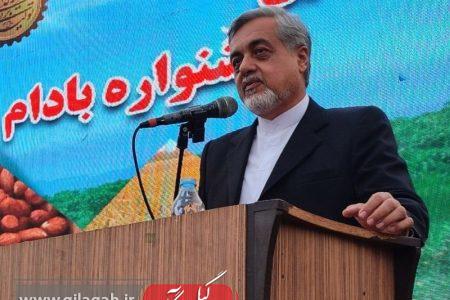 بازگشت به فرهنگ اصیل روستایی ضرورت امروز جامعه است