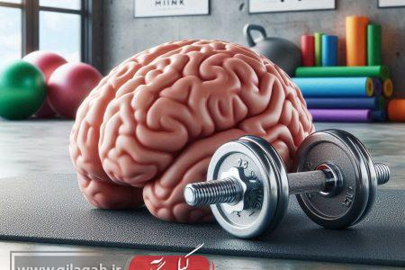 ارتباط شگفت‌انگیز قدرت عضلانی و جوان ماندن مغز