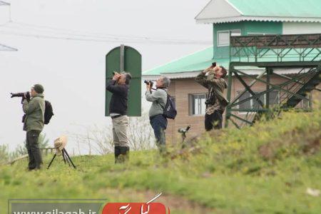 آغاز سرشماری پرندگان مهاجر آبزی در گیلان با پهپاد، هوش مصنوعی و مشارکت داوطلبان
