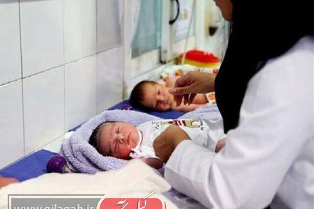 ثبت ۴۴ واقعه ولادت در هر شبانه روز در گیلان