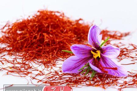 زعفران؛ طلای سرخی که سلامتی، شادی و انرژی را به سفره ایرانی بازمی‌گرداند