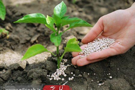 عدم وجود مشکل در تامین کود شیمیایی