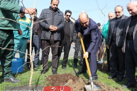 کاشت نهال از سوی استاندار گیلان به نیابت از امام شهید