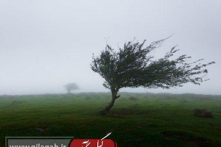 هشدار وزش بادگرم در گیلان