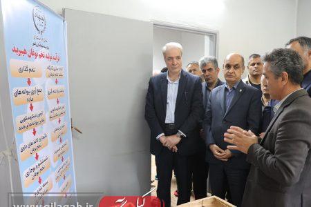 تحقیقات، کلید شکوفایی صنعت نوغانداری است