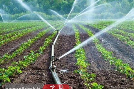 آبیاری نوین راهکاری برای جلوگیری از هدررفت آب در گیلان