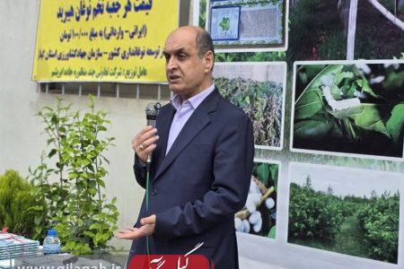 استاندار گیلان: اراضی ملی برای احیای نوغانداری واگذار می‌شود
