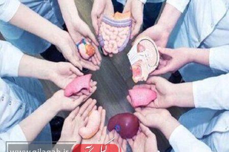 حدود ۵ هزار نفر در گیلان کارت اهدای عضو گرفتند