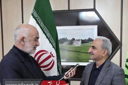 عبور خرید برگ سبز چای از مرز ۲۶ هزار تن