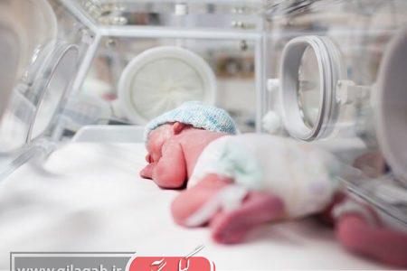 هشدار! خطر نصف شدن جمعیت ایران تا ۶۵ سال آینده