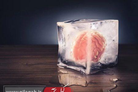 کشف جدید دانشمندان؛ انجماد و احیای بافت زنده مغز ممکن شد