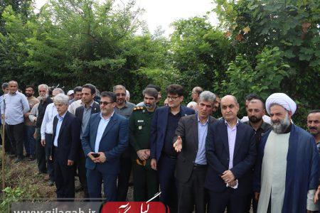 برداشت امید از شالیزارهای گیلان؛ از جهش بهره‌وری تا افق‌های تازه در گردشگری و تجارت خارجی