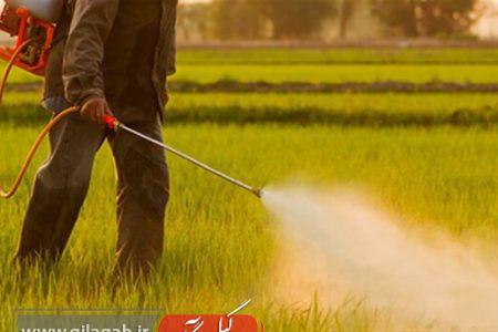 آفت‌کش‌ها با افزایش خطر ابتلا به ALS مرتبط هستند