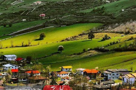 مدیرکل بنیاد مسکن گیلان: زمینه واگذاری زمین به ۲ هزار و ۸۰۰ خانوار بومی فراهم شد