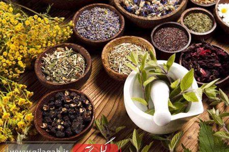 داروسازی سنتی ایران در مسیر تثبیت جایگاه علمی و جهانی قرار دارد