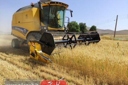آغاز تدریجی پرداخت ۱۱۰ همت دیگر به گندم‌کاران