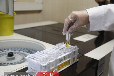 دولت ردیف فناورانه بودجه جهاد دانشگاهی را در لایحه بودجه پیش‌بینی کند