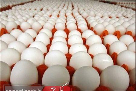 بالاخره تخم‌مرغ برای قلب مفید است یا مضر؟